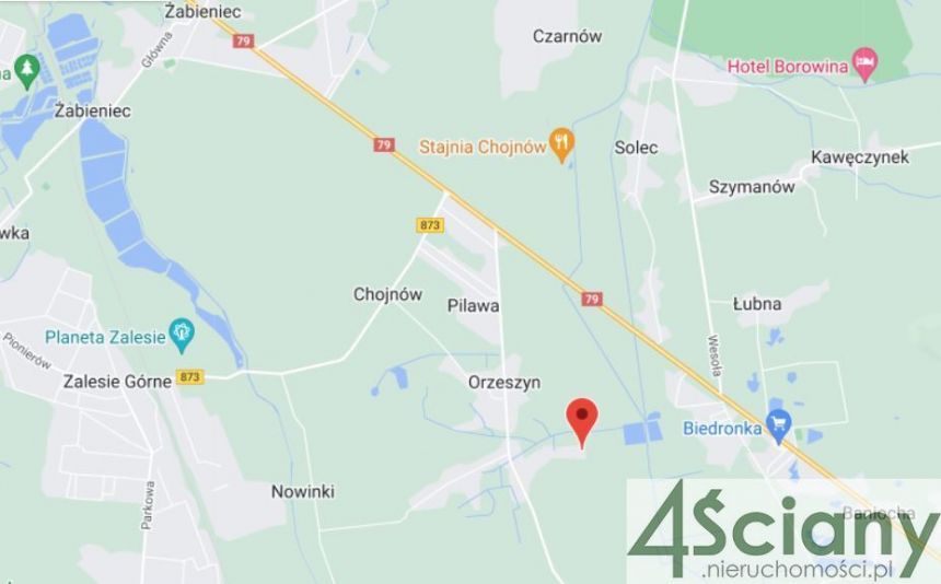 Orzeszyn, 890 000 zł, 44.62 ar, płaska miniaturka 5