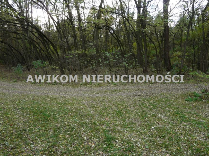 Wycześniak, 1 625 700 zł, 16.26 ha, rolna miniaturka 4