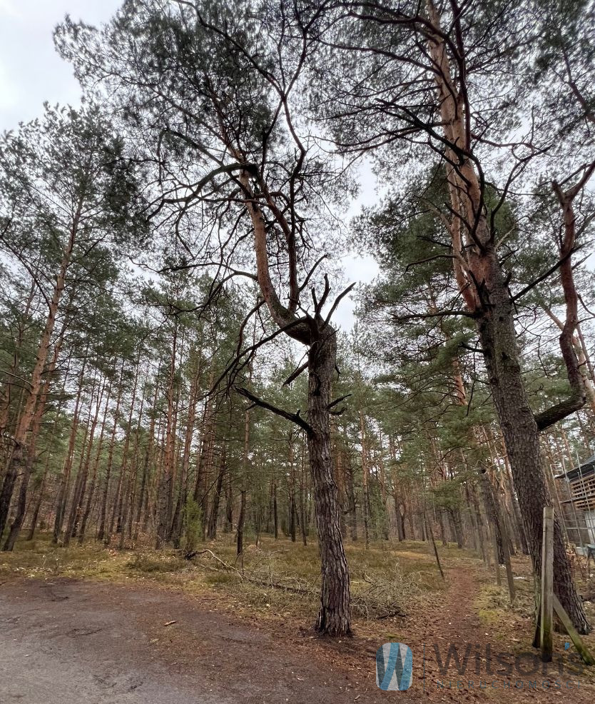 Józefów Michalin, 2 200 000 zł, 21.57 ar, droga dojazdowa utwardzona miniaturka 5