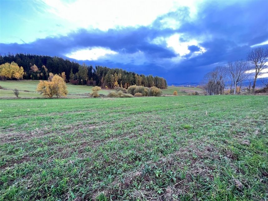 Krzeszów, 165 000 zł, 13.88 ar, droga dojazdowa gruntowa miniaturka 5