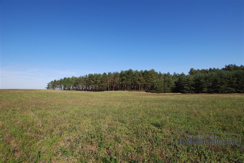 Działki budowlane w Trzesiece atrakcyjne położenie miniaturka 6