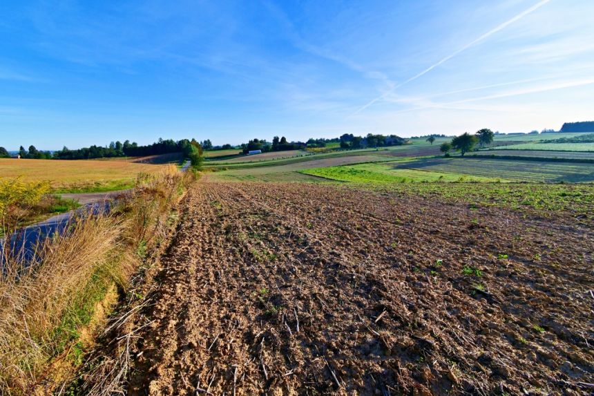 Działka 53ar w doskonałej cenie - blisko Nałęczowa - zdjęcie 1