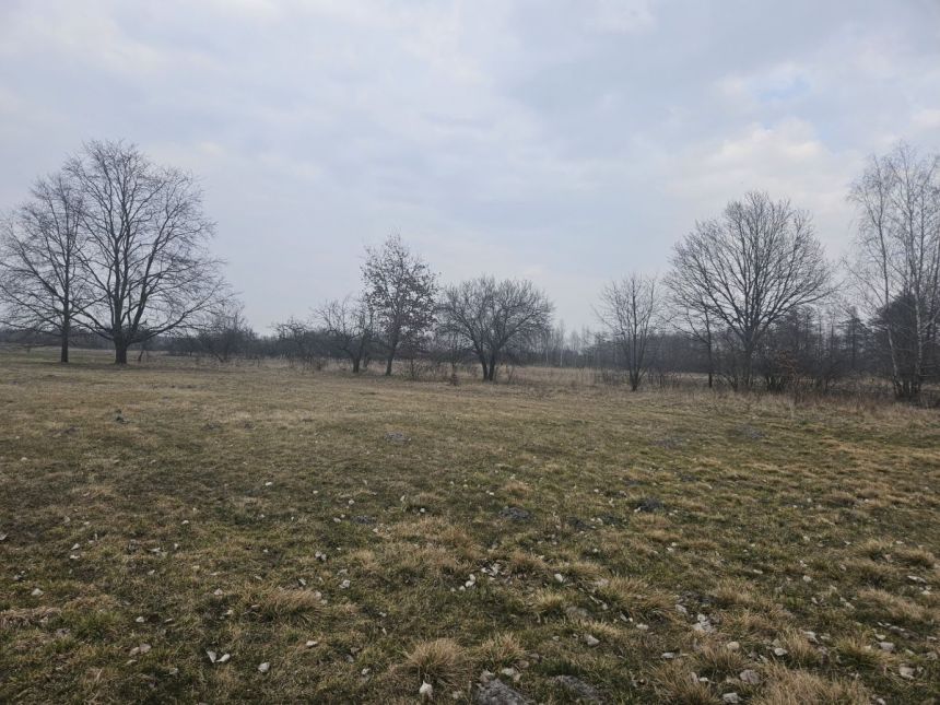 Sanie, 750 000 zł, 2.51 ha, przyłącze prądu miniaturka 4