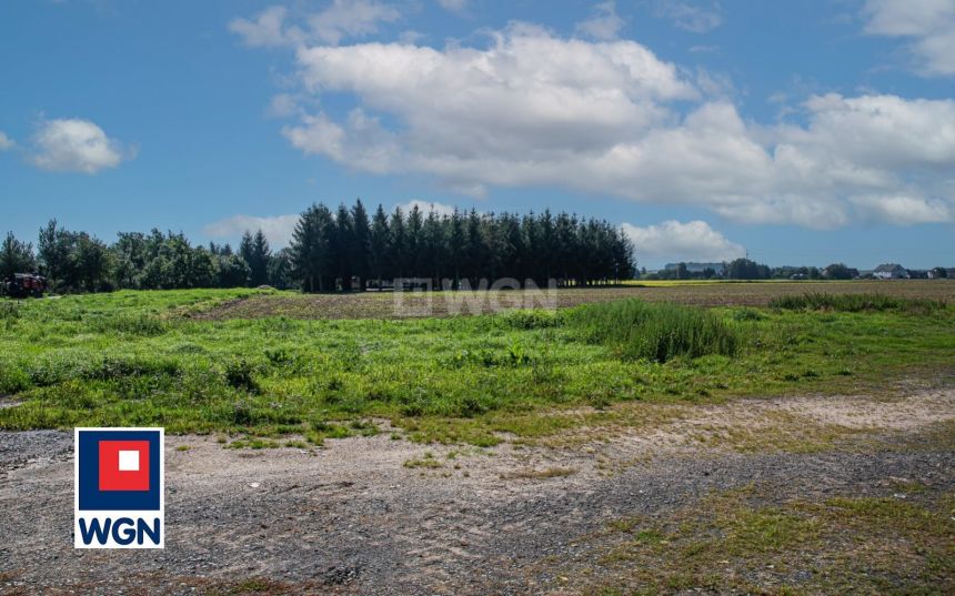 Olszanica, 229 000 zł, 220 m2, murowany miniaturka 6