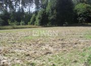 Kurów Mały, 570 000 zł, 1.9 ha, bez nasadzeń miniaturka 6