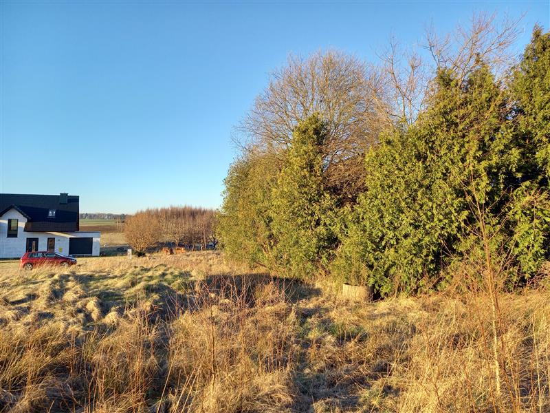Dom wolnostojący - Włynkowo Włynkowo miniaturka 7