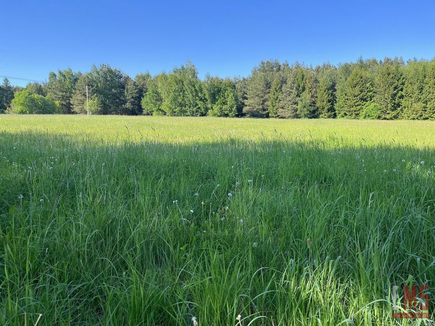 Czaplino, 2 300 000 zł, 2.3 ha, rolna miniaturka 3