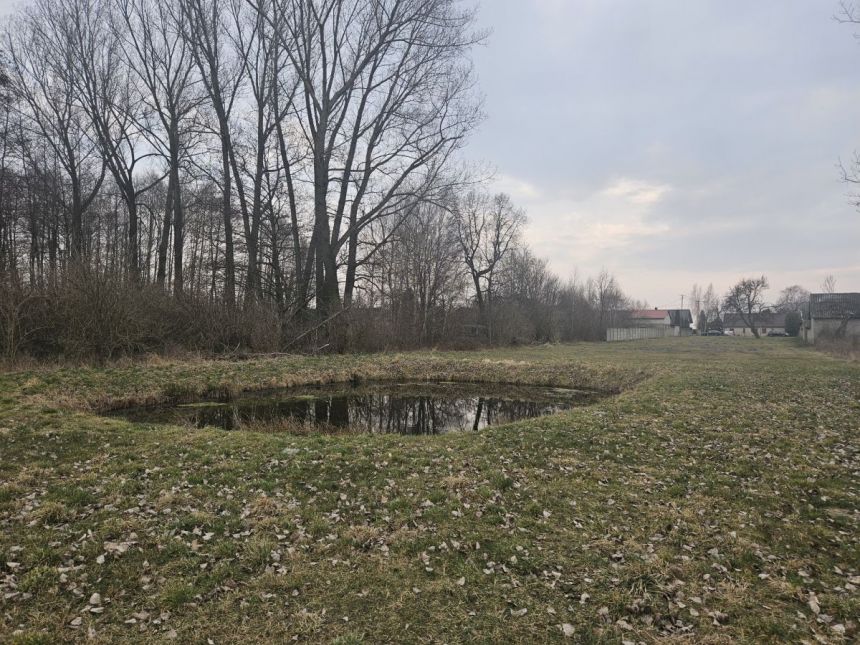 Sanie, 750 000 zł, 2.51 ha, przyłącze prądu miniaturka 6