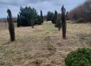 Skrzeszew, 650 000 zł, 20.07 ar, budowlana miniaturka 2