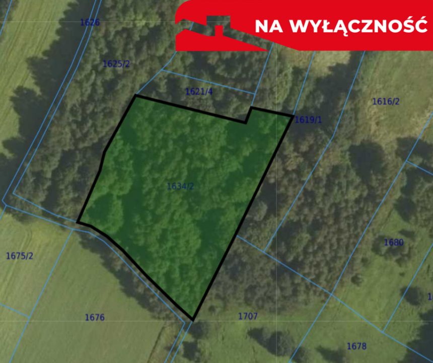 Działka rolno-budowlana- Skrzyszów miniaturka 6