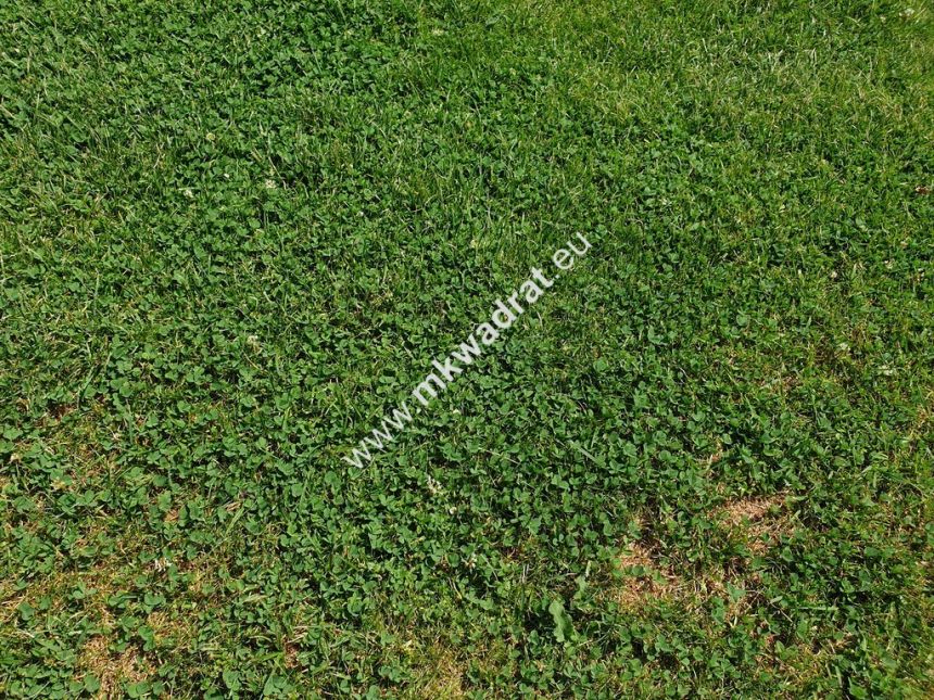 Ciekawa oferta dla developera miniaturka 3