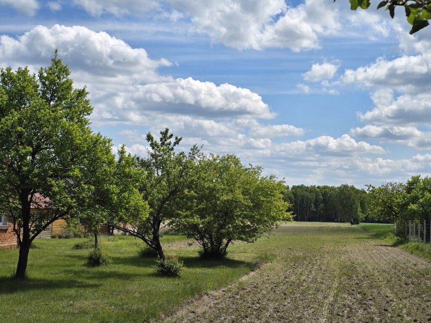 Siedlisko 7,67 ha, Juliopol miniaturka 12