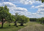 Siedlisko 7,67 ha, Juliopol miniaturka 12