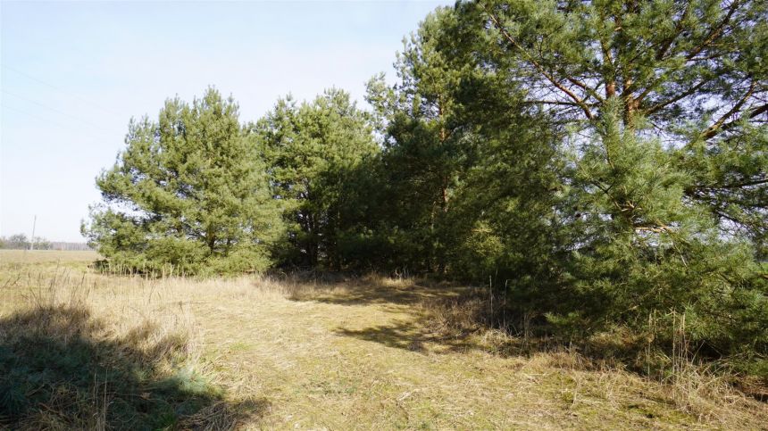 Działka pod zabudowę letniskową w pobliżu jeziora! miniaturka 5
