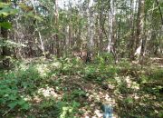 Kosów, 120 000 zł, 30 ar, budowlana miniaturka 6