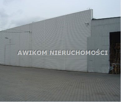 Opacz-Kolonia, 9 900 000 zł, 1250 m2, murowany - zdjęcie 1