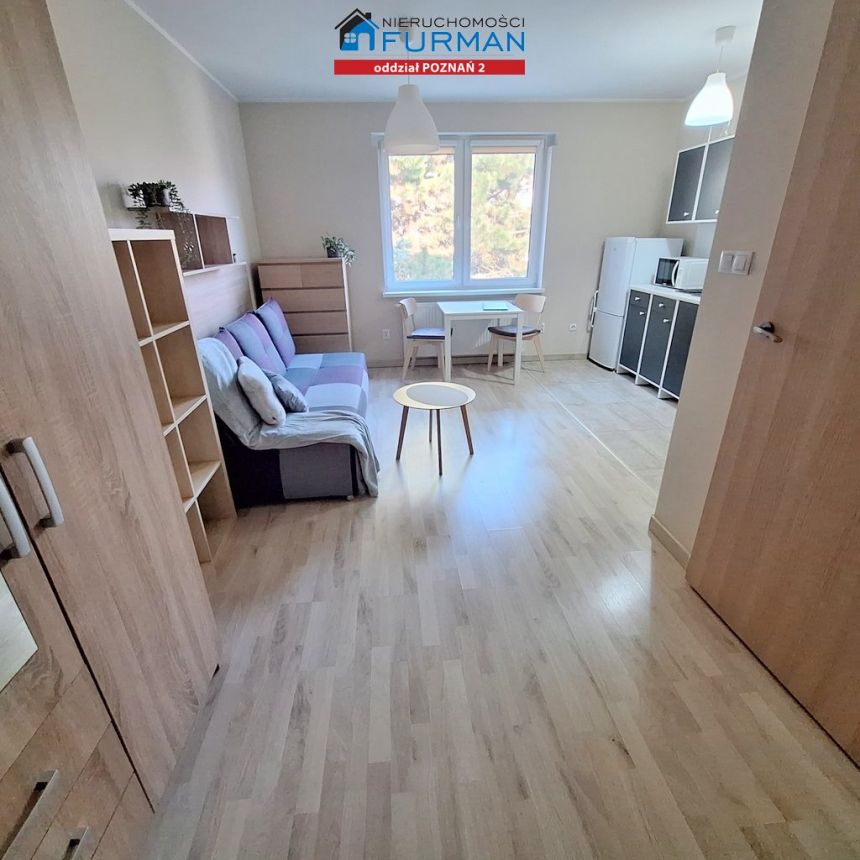 super oferta, Wilda/Dębiec- blisko tramwaju! miniaturka 10