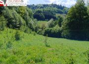 Rozległa działka przy lesie,  1 km od jeziora miniaturka 4