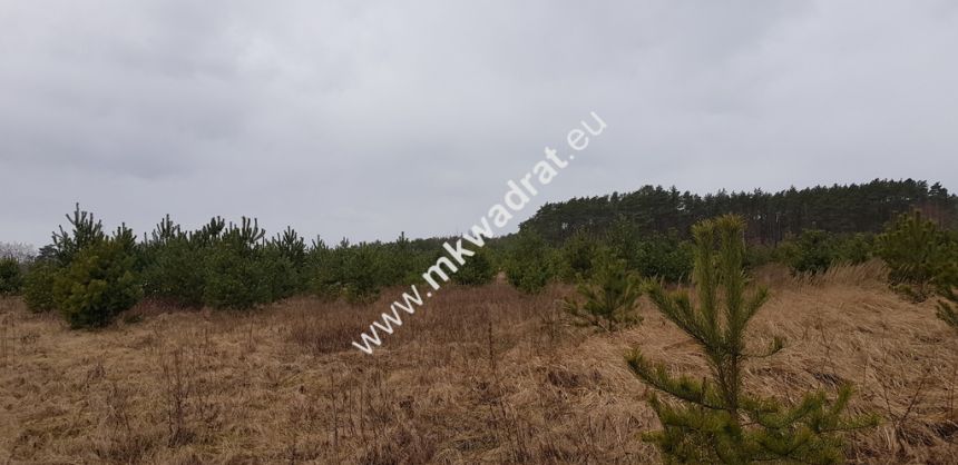CIEKAWA OFERTA W NISKIEJ CENIE miniaturka 4