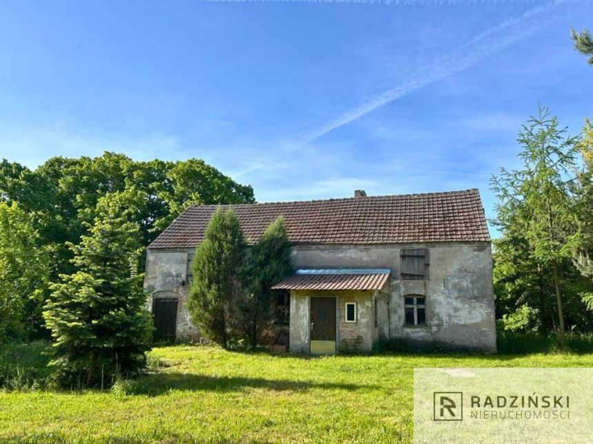 Dom z 31 a działką w Wierzbnicy - zdjęcie 1