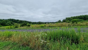 Sadowie, 144 000 zł, 8 ar, droga dojazdowa asfaltowa
