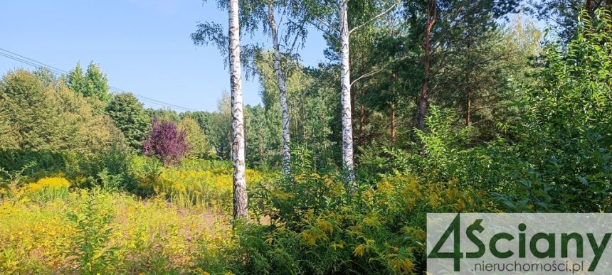 Zalesie, 6 431 040 zł, 3.57 ha, prostokątna miniaturka 3