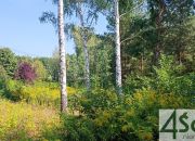 Zalesie, 6 431 040 zł, 3.57 ha, prostokątna miniaturka 3