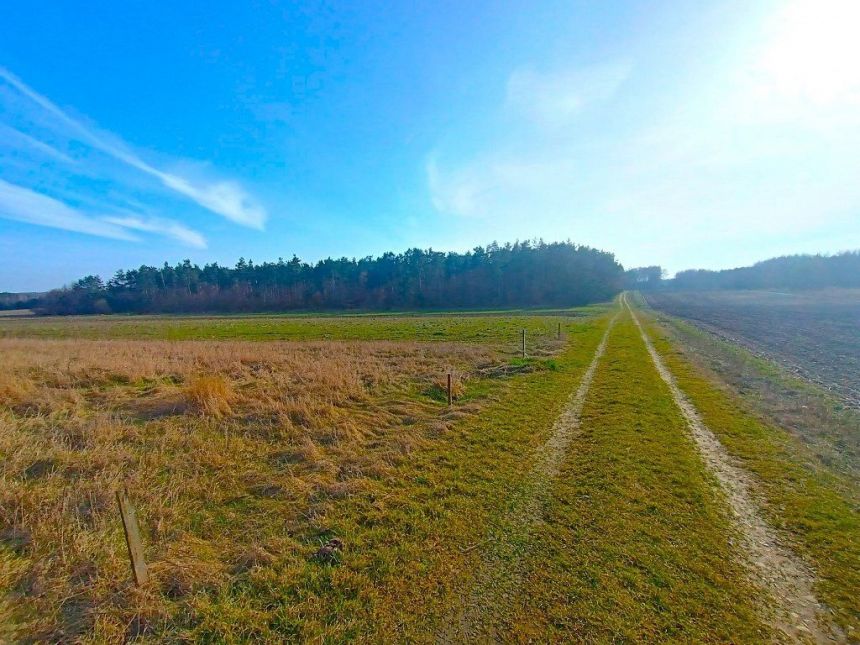 Działki Budowlane Gmina Morawica miniaturka 5