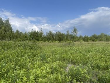 Działka  inwestycyjna – 3 508 m² teren 1.U Ciemne.