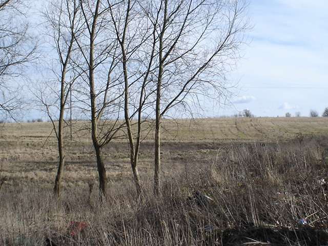 Stobno, 113 000 zł, 12.1 ar, rolna miniaturka 6