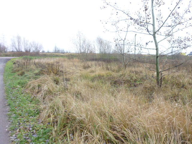 DZIAŁKA 1148 M2,GM.DOBRA miniaturka 5