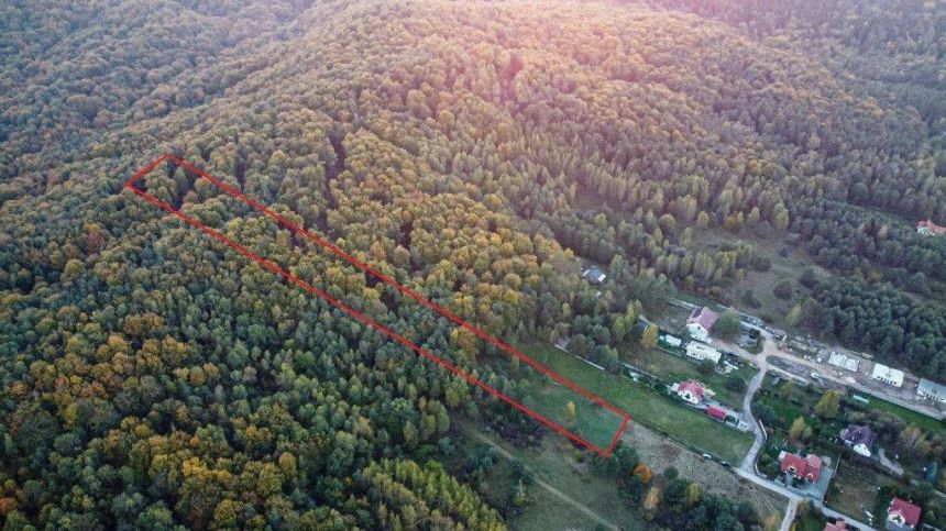 Działka budowlana z własnym lasem miniaturka 7