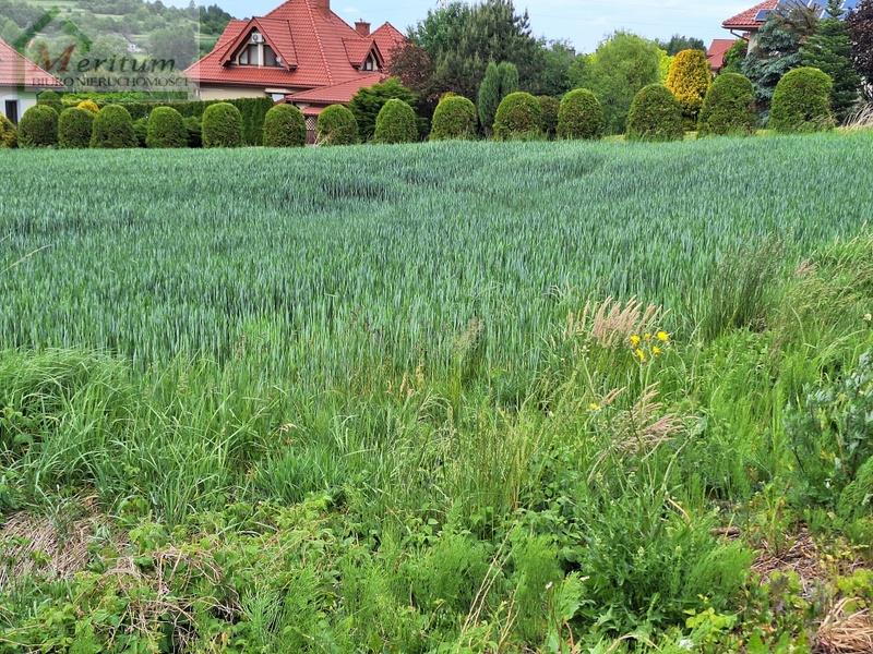 Piękna działka na uboczu miasta!! - zdjęcie 1