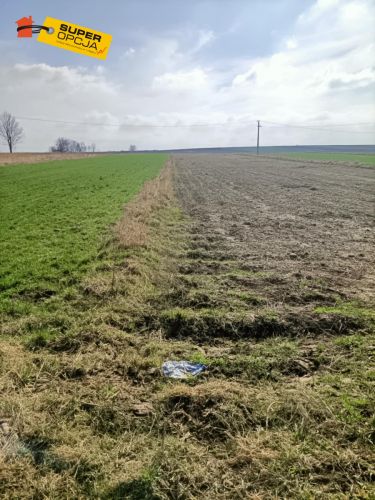 Jangrot, 400 000 zł, 1 ha, przyłącze prądu