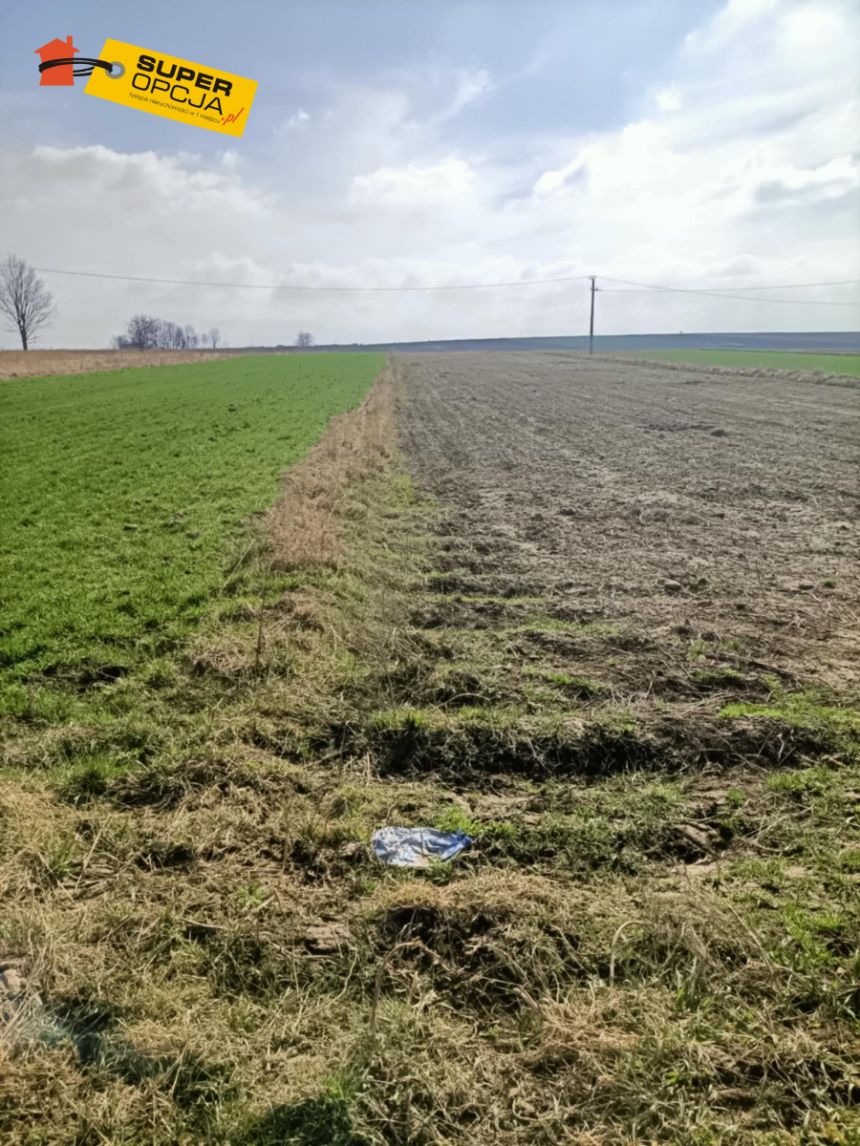 Jangrot, 400 000 zł, 1 ha, przyłącze prądu - zdjęcie 1