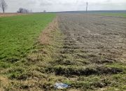 Jangrot, 400 000 zł, 1 ha, przyłącze prądu miniaturka 1