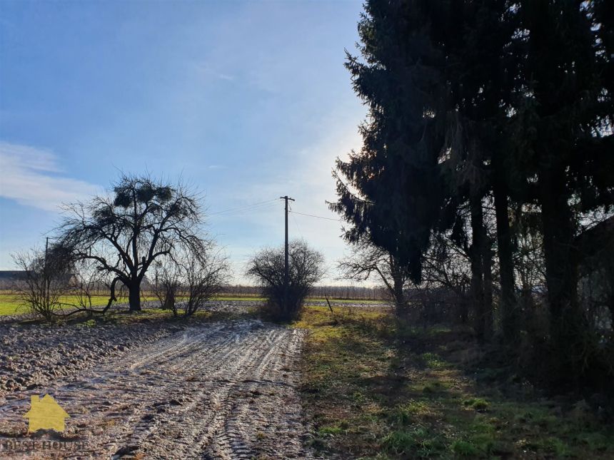 Do sprzedania siedlisko, pow.1ha, 35 km od Lublina miniaturka 19