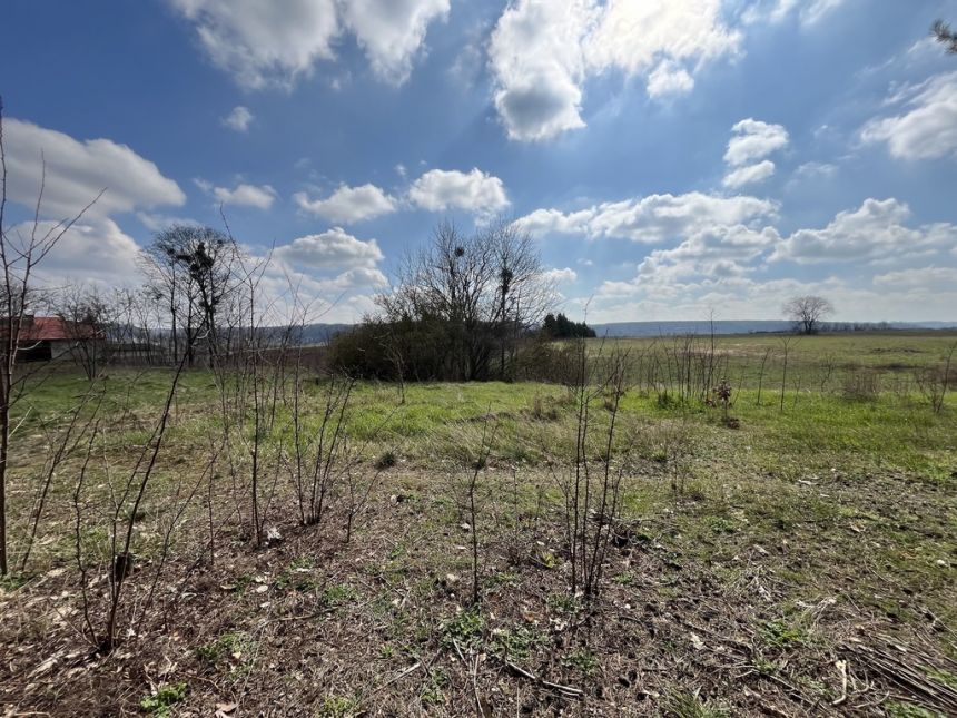 Atrakcyjna działka 2902 m2 w Oblasach-Księżę. miniaturka 6