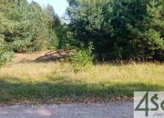 Zalesie, 6 431 040 zł, 3.57 ha, prostokątna miniaturka 2