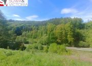 Widokowa działka w sąsiedztwie jeziora - ok 1 km miniaturka 2