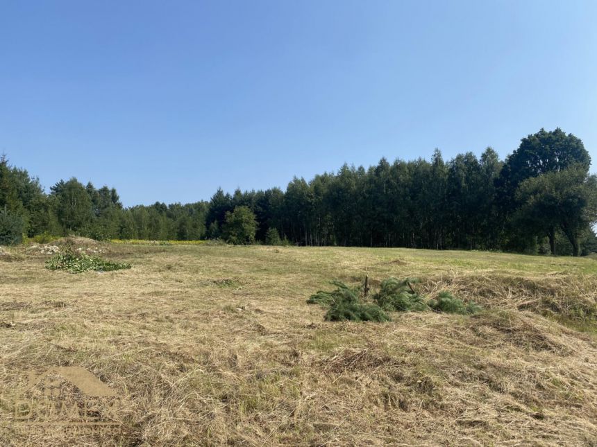 Piękne działki przy lesie! - zdjęcie 1