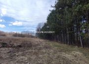 Borek Szlachecki, 585 000 zł, 54.97 m2, umeblowany miniaturka 21