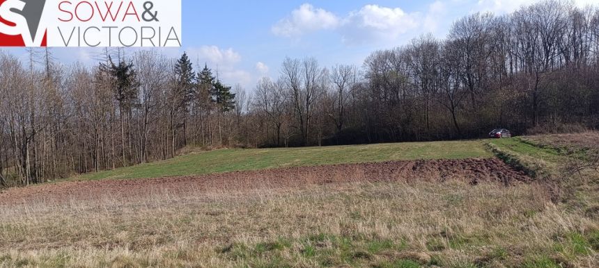 Piękna, otoczona lasem działka w Dobromierzu miniaturka 8