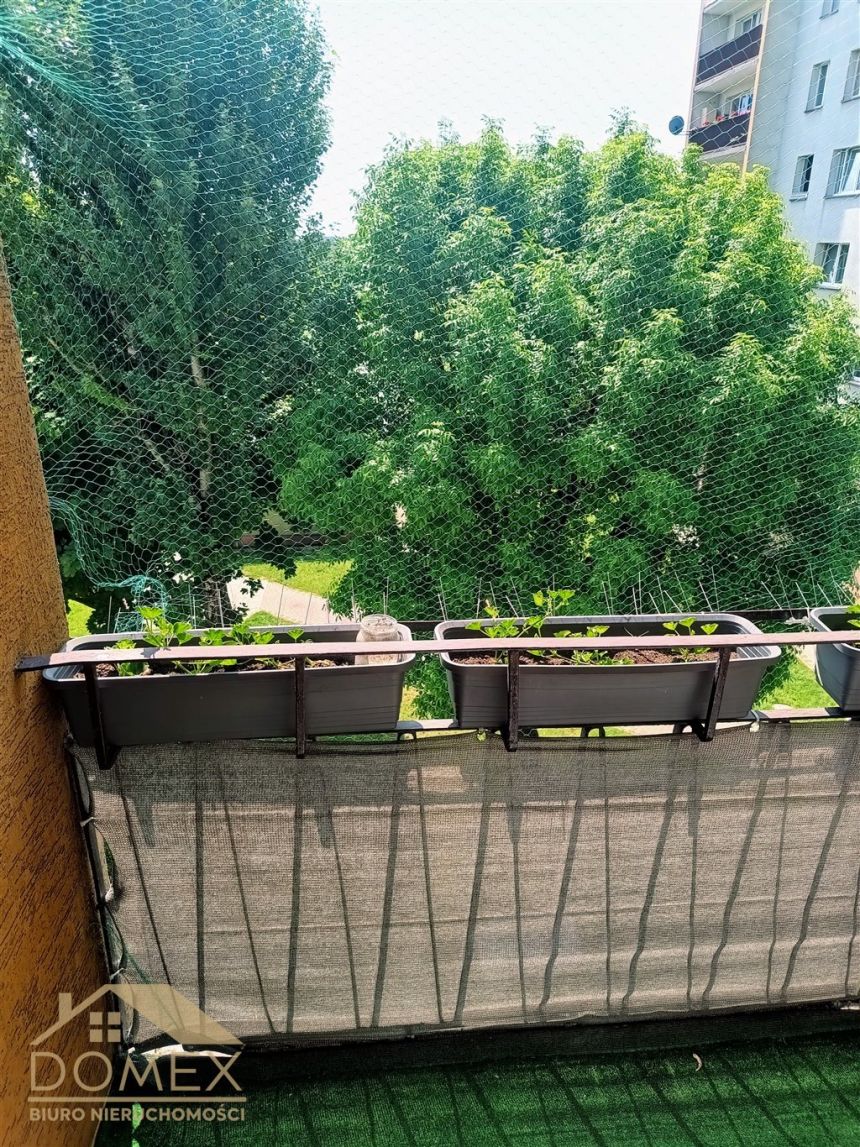 Na sprzedaż 3-pokojowe mieszkanie z balkonem miniaturka 10
