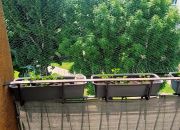 Na sprzedaż 3-pokojowe mieszkanie z balkonem miniaturka 10