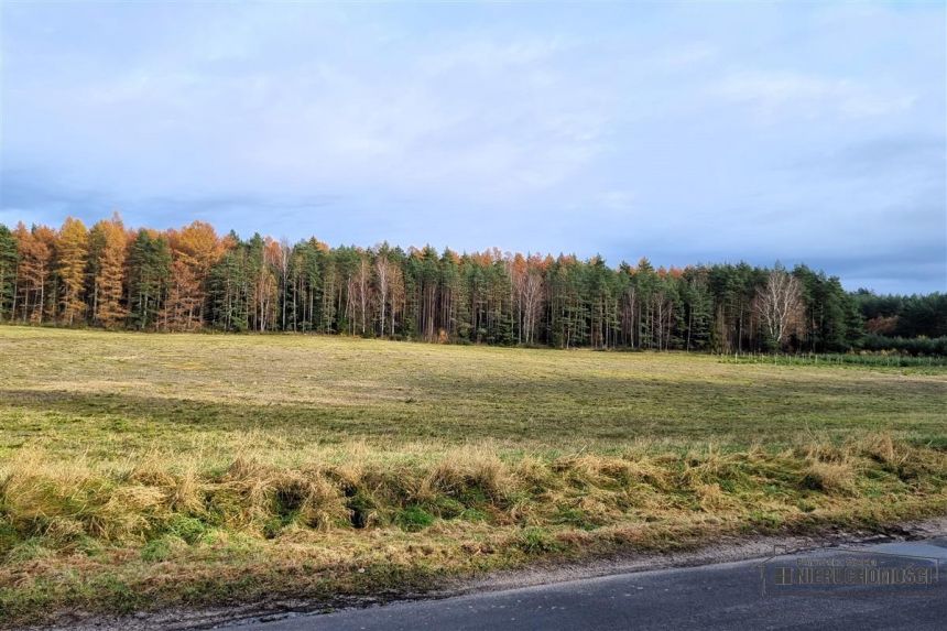 Działka na skraju wsi, w pobliżu lasu. miniaturka 9