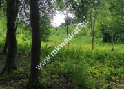 Piękna z Bukową Aleją wydane WZ 4 km od Sochaczewa miniaturka 7