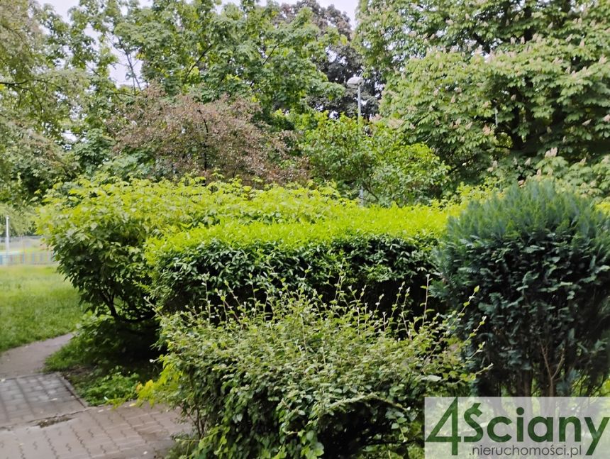 Wola-Koło, z balkonem, blisko metra, cegła miniaturka 13