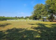 OKAZJA! Dom 170 m2 działka 5300 m2 Zawichost miniaturka 27