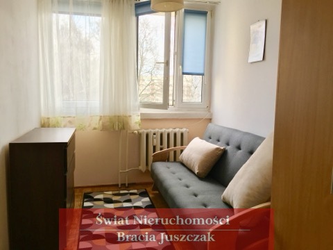 SZCZEPIN, 2 POKOJE, NISKA ZABUDOWA miniaturka 4